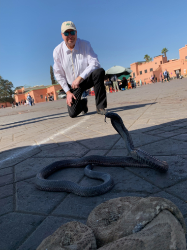 Marrakech Snake